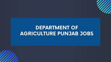 Department of Agriculture Punjab Jobs