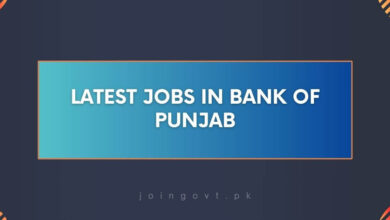 Latest Jobs in Bank of Punjab