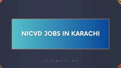 NICVD Jobs in Karachi