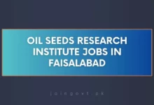 Oil Seeds Research Institute Jobs in Faisalabad