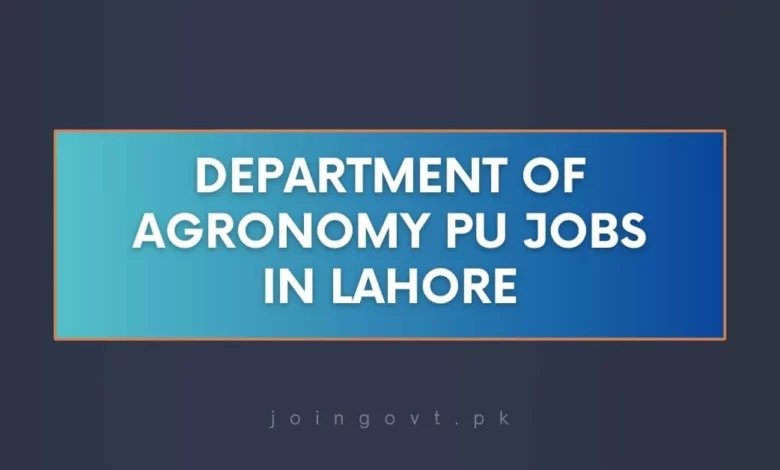 Department of Agronomy PU Jobs in Lahore