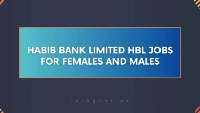 Habib Bank Limited HBL Jobs for Females and Males