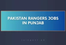 Pakistan Rangers Jobs in Punjab