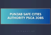 Punjab Safe Cities Authority PSCA Jobs