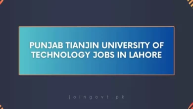 Punjab Tianjin University of Technology Jobs in Lahore