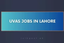 UVAS Jobs in Lahore