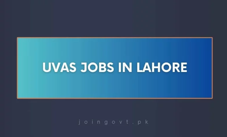 UVAS Jobs in Lahore