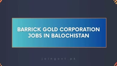 Barrick Gold Corporation Jobs in Balochistan