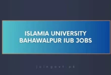 Islamia University Bahawalpur IUB Jobs