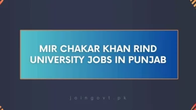 Mir Chakar Khan Rind University Jobs in Punjab