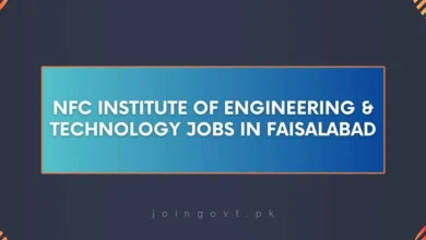 NFC Institute of Engineering & Technology Jobs in Faisalabad