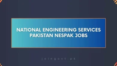 National Engineering Services Pakistan NESPAK Jobs