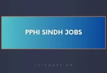 PPHI Sindh Jobs