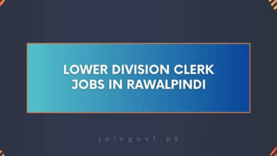 Lower Division Clerk Jobs in Rawalpindi