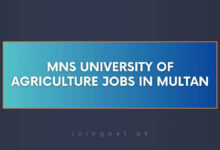 MNS University of Agriculture Jobs in Multan