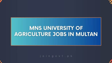 MNS University of Agriculture Jobs in Multan