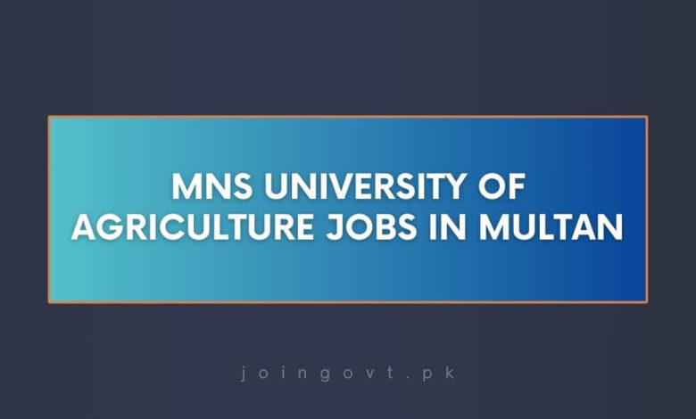 MNS University of Agriculture Jobs in Multan