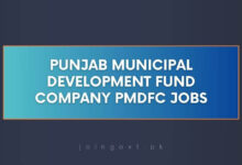 Punjab Municipal Development Fund Company PMDFC Jobs