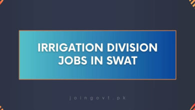 Irrigation Division Jobs in Swat