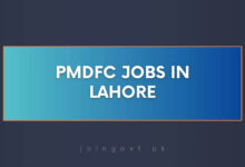 PMDFC Jobs in Lahore