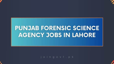 Punjab Forensic Science Agency Jobs in Lahore