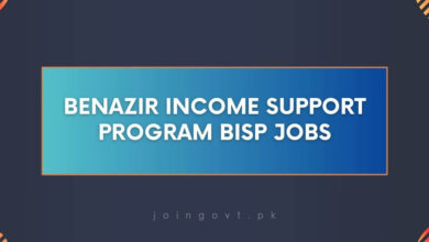 Benazir Income Support Program BISP Jobs