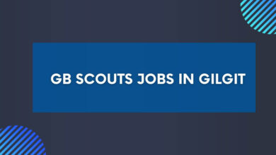 GB Scouts Jobs in Gilgit