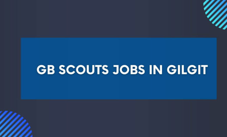 GB Scouts Jobs in Gilgit