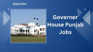 Governor House Punjab Jobs