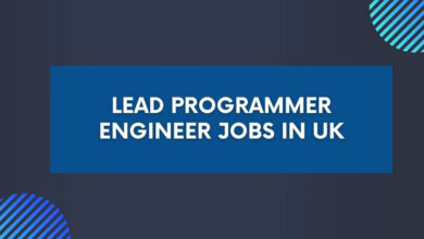 Lead Programmer Engineer Jobs in UK