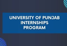 University of Punjab Internships Program