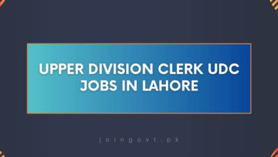 Upper Division Clerk UDC Jobs in Lahore