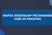 WAPDA Internship Programme Jobs in Pakistan