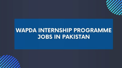 WAPDA Internship Programme Jobs in Pakistan