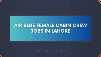 Air Blue Female Cabin Crew Jobs in Lahore