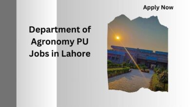 Department of Agronomy PU Jobs in Lahore