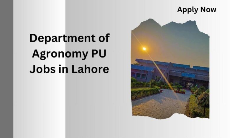 Department of Agronomy PU Jobs in Lahore