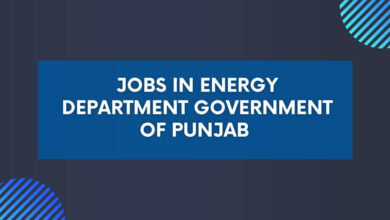 Jobs in Energy Department Government of Punjab 