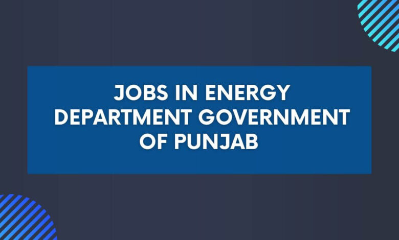 Jobs in Energy Department Government of Punjab 