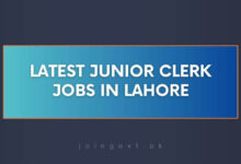 Latest Junior Clerk Jobs in Lahore