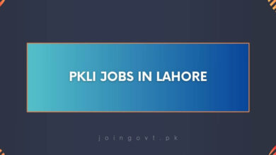 PKLI Jobs in Lahore