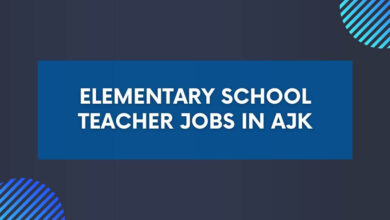 Elementary School Teacher Jobs in AJK