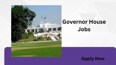 Governor House Jobs