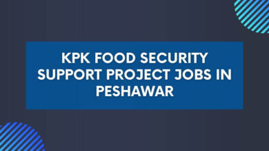 KPK Food Security Support Project Jobs in Peshawar