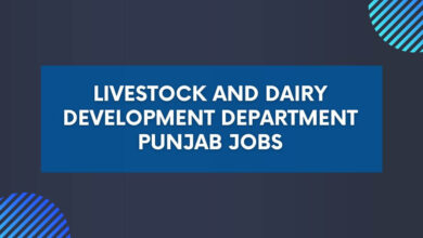 Livestock and Dairy Development Department Punjab Jobs