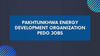 Pakhtunkhwa Energy Development Organization PEDO Jobs