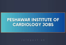 Peshawar Institute Of Cardiology Jobs