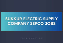 Sukkur Electric Supply Company SEPCO Jobs