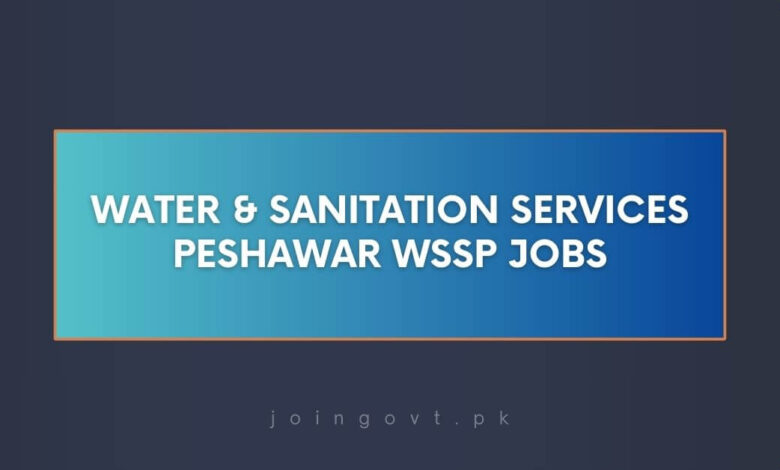 Water & Sanitation Services Peshawar WSSP Jobs