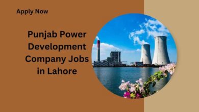 Punjab Power Development Company Jobs in Lahore